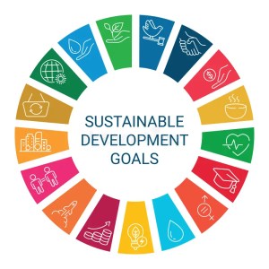 Obiettivi di sviluppo sostenibile, Agenda 2030