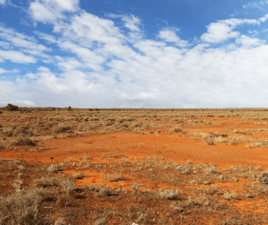 Melbourne letteraria