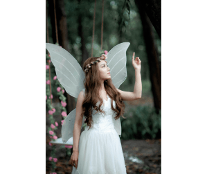 Sogno di una notte di mezz'estate